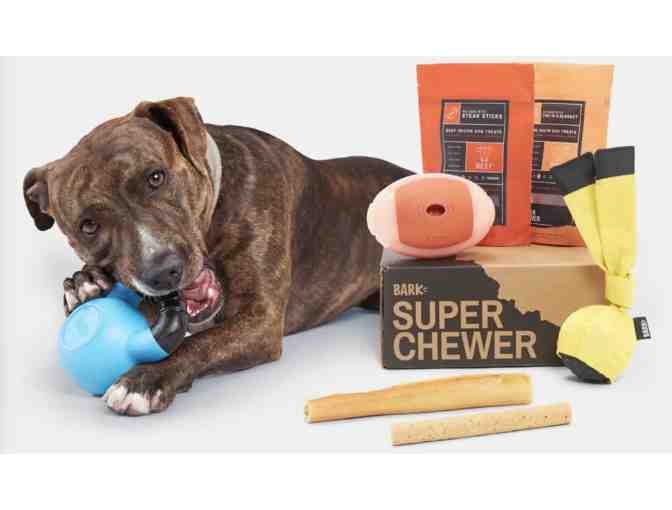 BarkBox: One Super Chewer Box