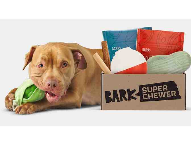 BarkBox: One Super Chewer Box