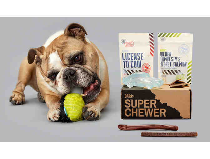 BarkBox: One Super Chewer Box