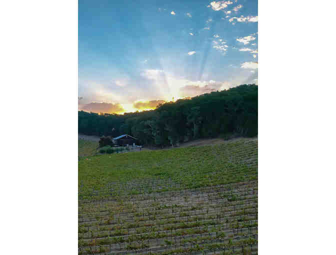 Linne Calodo Cellars: Wine Tasting for Four