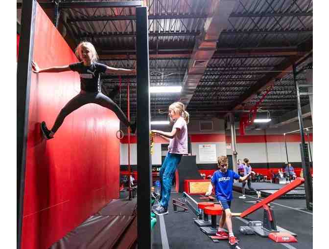 Los Angeles Ninja Academy: Free Drop-In Class