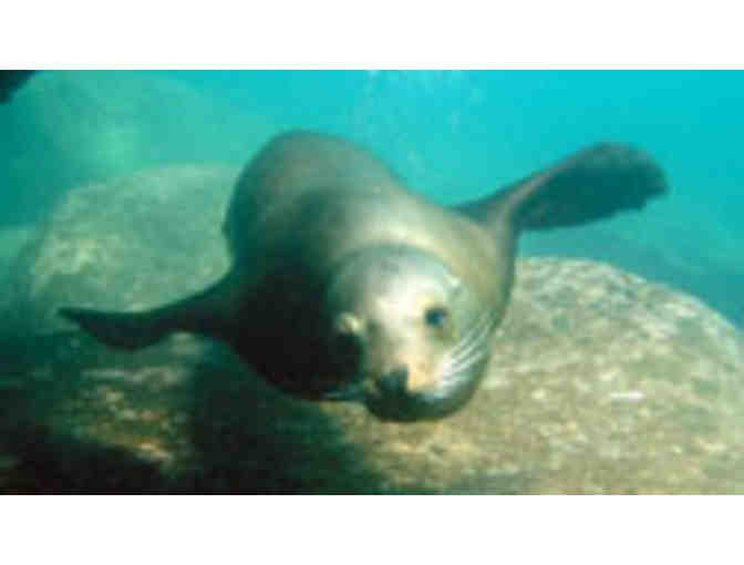 Marina Del Rey Sportfishing - Whale Watching, Admission for 2