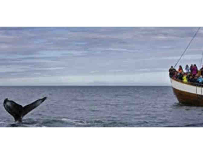 Marina Del Rey Sportfishing - Whale Watching, Admission for 2