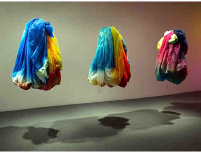 Museum of Contemporary Art San Diego - 4 Guest Passes