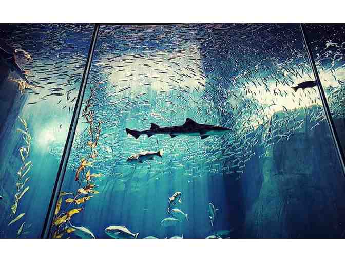 Aquarium of the Pacific - 2 Admission Tickets