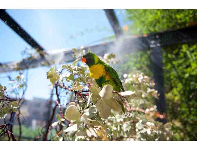 Turtle Bay Exploration Park - 2 Admission Passes