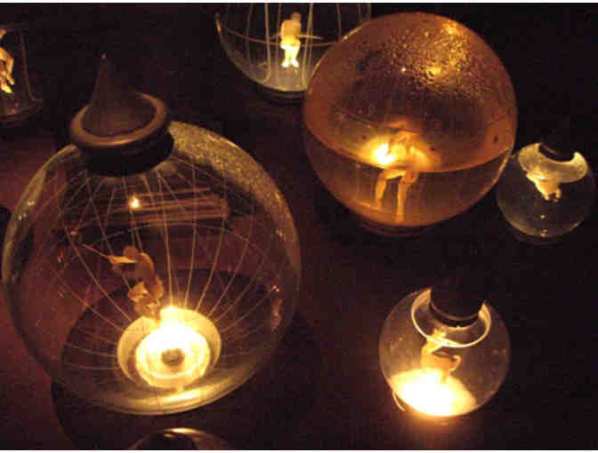 The Museum of Jurassic Technology - Annual Membership + Gift