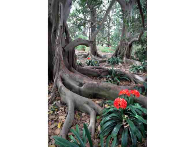 South Coast Botanic Garden - Basic+ Family Membership (or 250 other gardens nationwide!)