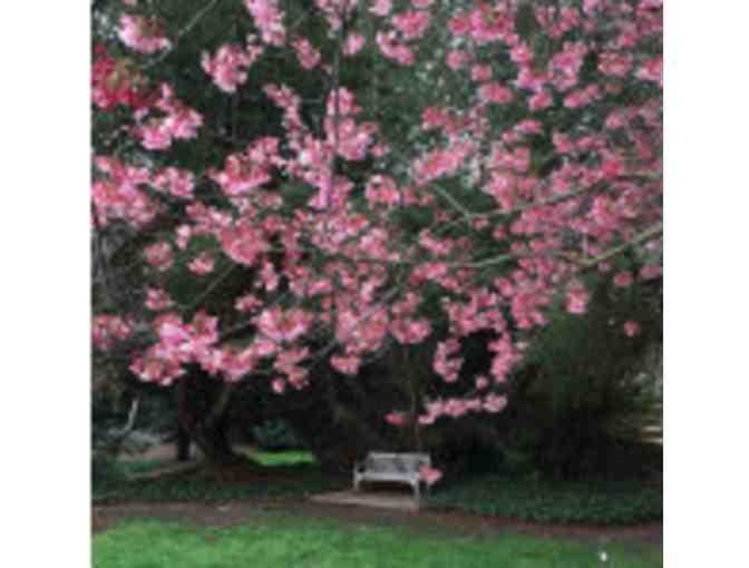 South Coast Botanic Garden - Basic+ Family Membership (or 250 other gardens nationwide!)