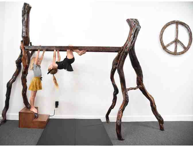 Wild Child Gym - 4 Week Session