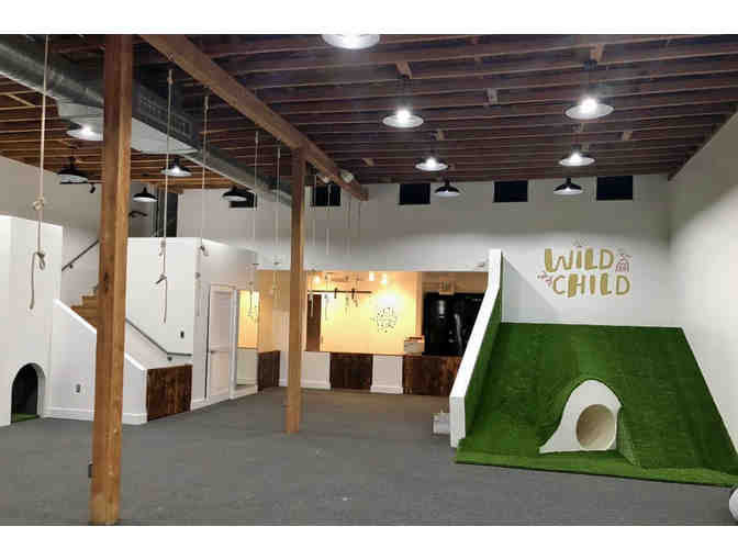 Wild Child Gym - 4 Week Session