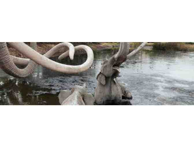 Natural History Museum of LA County & La Brea Tar Pits and Museum - Admission for 4