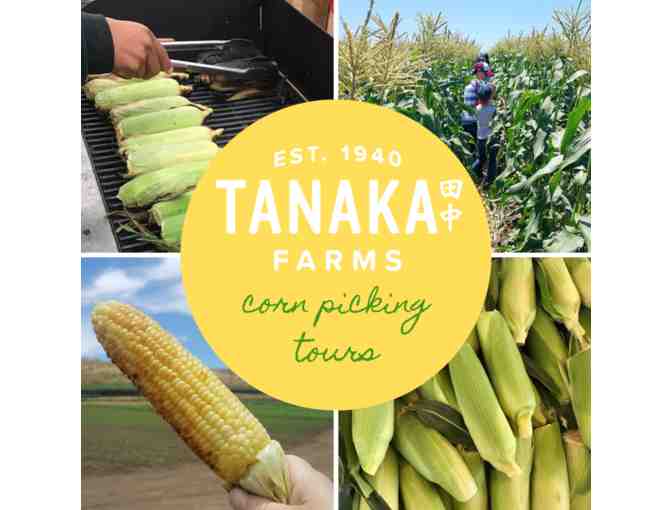 Tanaka Farms - Seasonal Farm Tour for 4