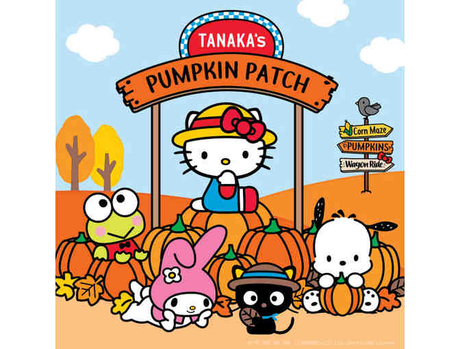 Tanaka Farms - Seasonal Farm Tour for 4