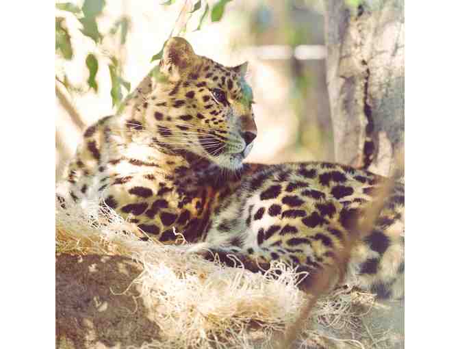 Santa Barbara Zoo - 2 Guest Passes