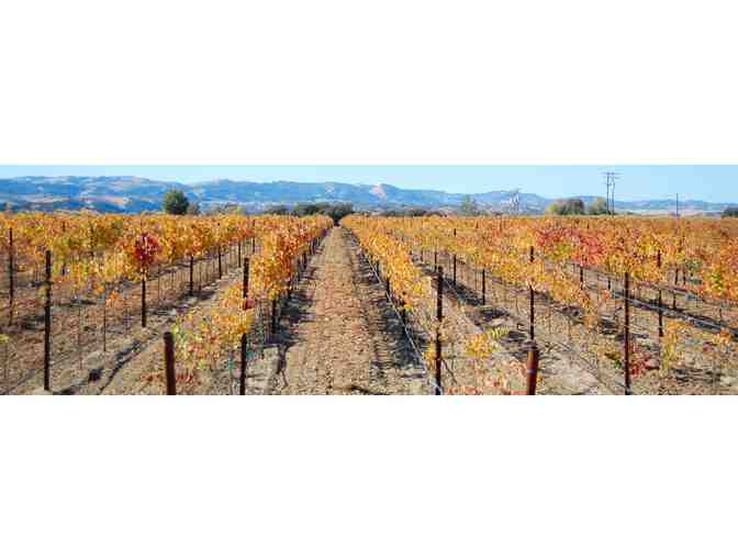 Le Vigne Winery - Private Tour and Tasting for 8 Guests