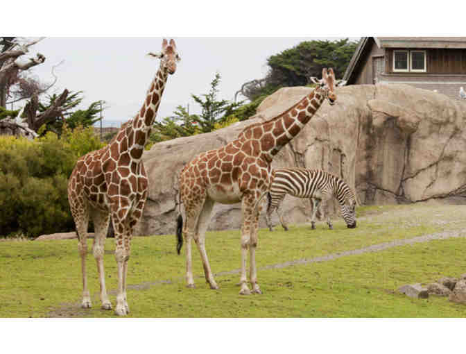 San Francisco Zoo - 2 Tickets