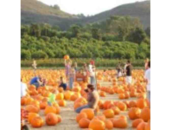 Underwood Family Farms - Family Season Pass