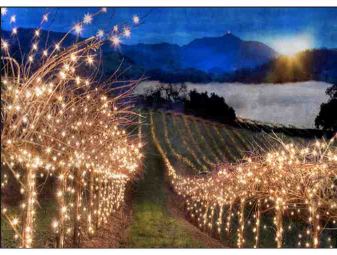 Peju Province Winery - Wine Tasting for Six #1