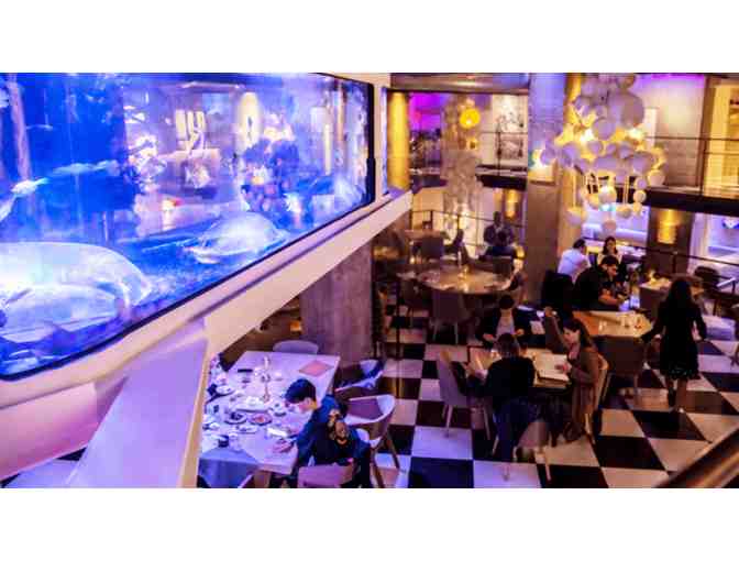 Mrs. Fish - $150 Gift Certificate