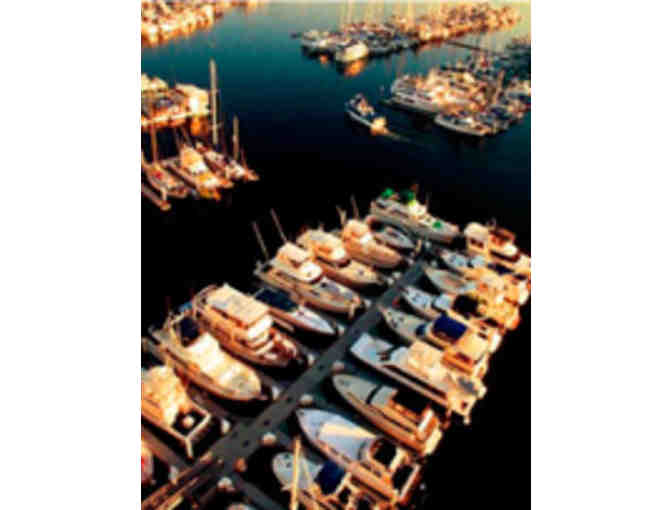 Tony P's Dockside Grill - $50 Gift Card #1