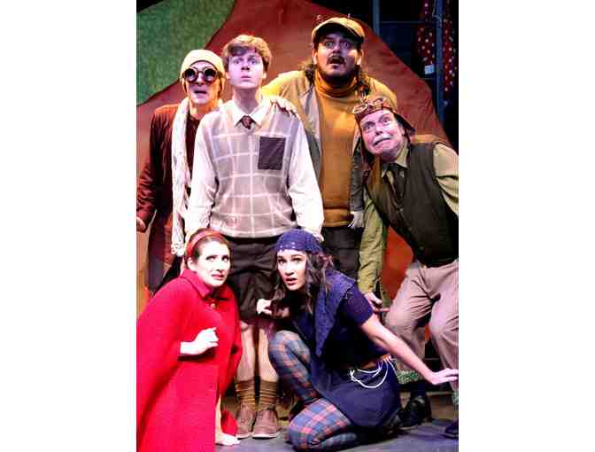 Chance Theater - Four Admission Tickets