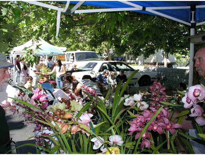 Venice Farmers Market - $20 Gift Certificate #1