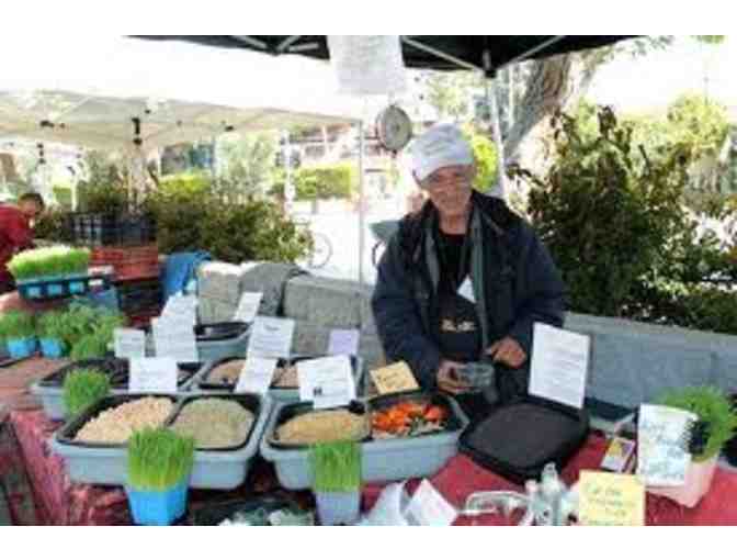Venice Farmers Market - $20 Gift Certificate #2