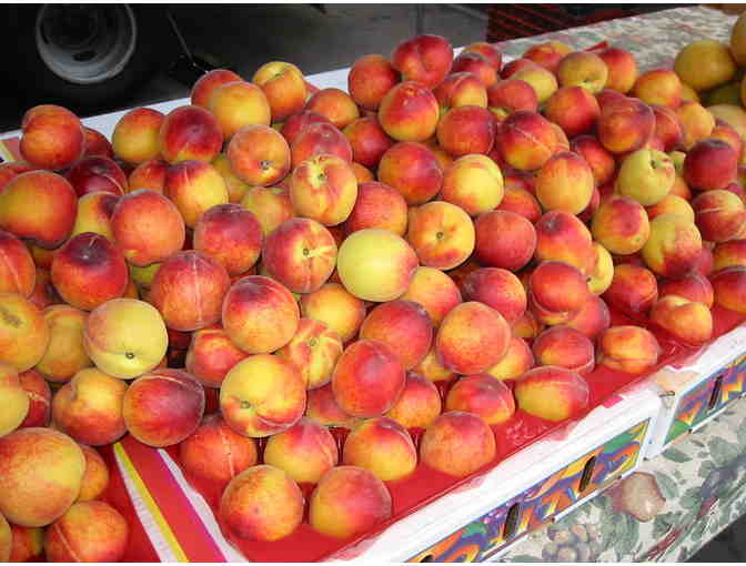 Venice Farmers Market - $20 Gift Certificate #6