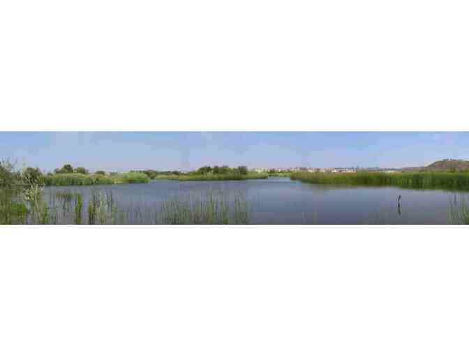 Friends of Ballona Wetlands - Private Bird Watching Tour of Ballona Wetlands for 20