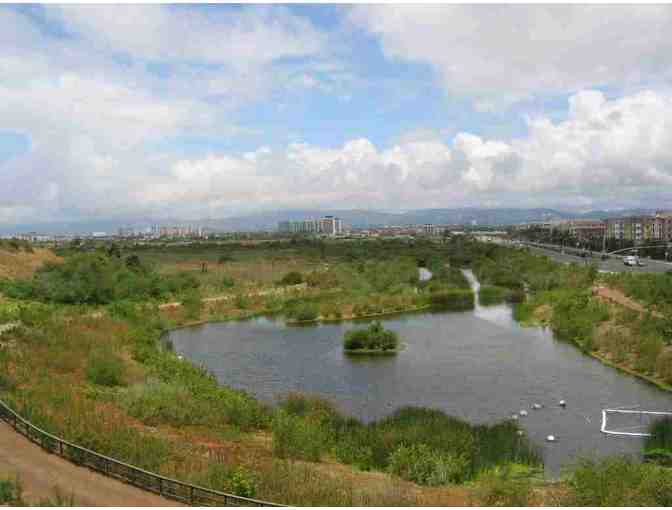 Friends of Ballona Wetlands - Private Bird Watching Tour of Ballona Wetlands for 20