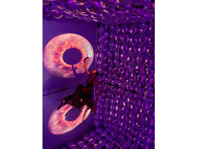 Flutter Experience - 4 VIP Tickets -CANCELLED