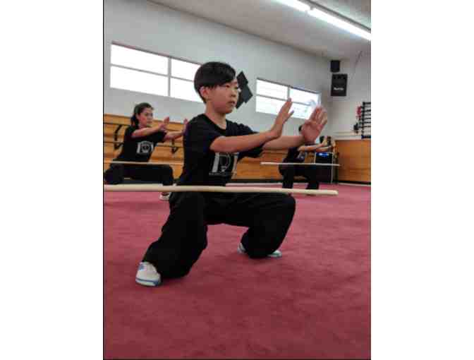 Enter Martial Arts - Two Weeks of Martial Arts Plus T shirt - CANCELLED