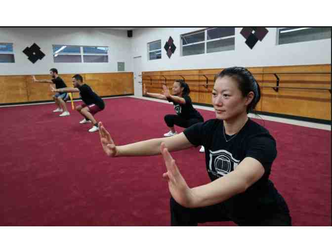 Enter Martial Arts - Two Weeks of Martial Arts Plus T shirt - CANCELLED