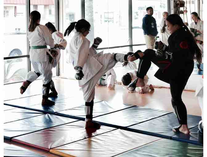 Shield Karate - One Month of Children's Martial Arts Class