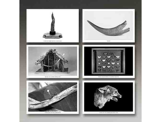 The Museum of Jurassic Technology - Annual Membership + Gift