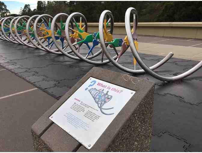 The Lawrence Hall of Science, UC Berkeley - Family Guest Pass (Up to 6 people)
