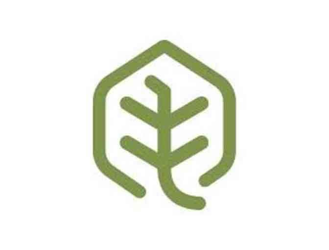 Matcha Village - $10 in Vouchers #3