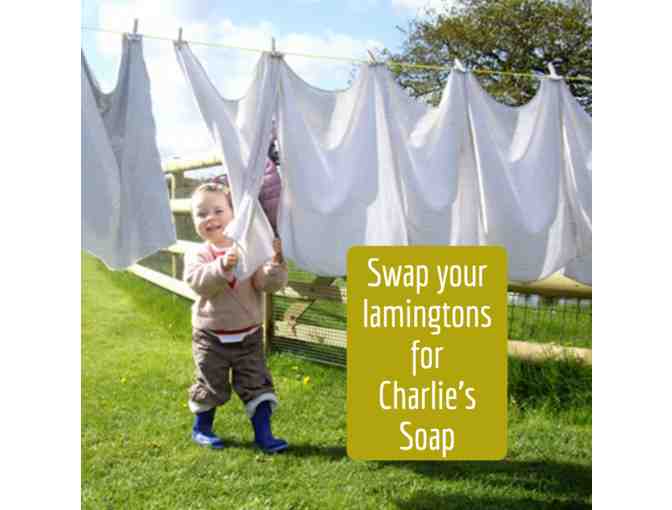 Charlie's Soap - Gift Basket