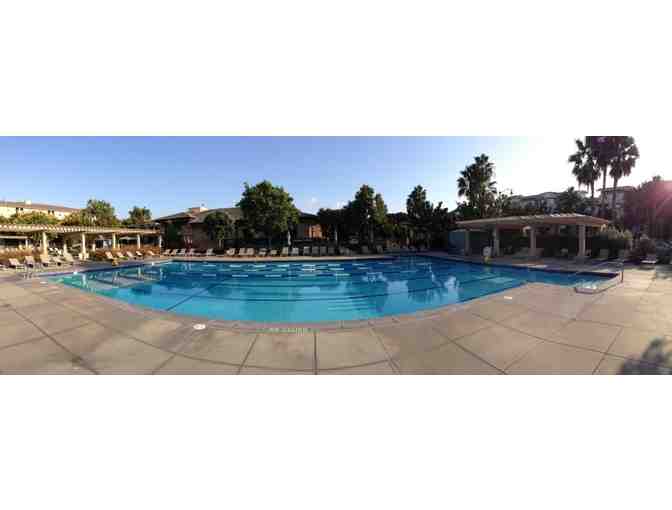 Playa Vista Swimming - 4 Private Thirty-Minute Swimming Lessons