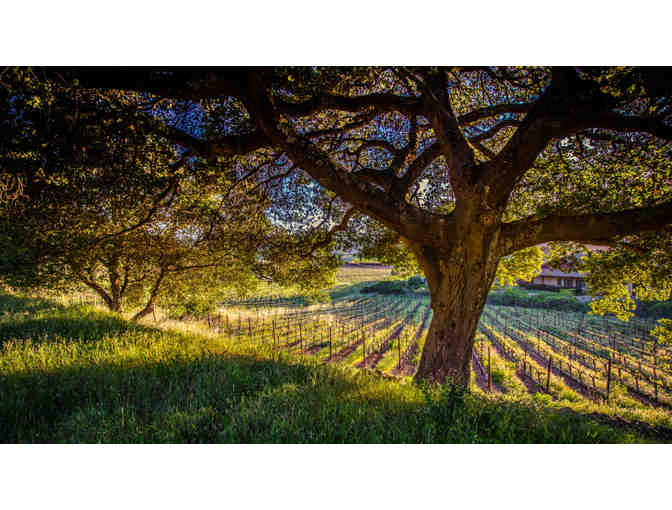 Napa Valley Train Tour | Napa Valley, CA | 2 Night Stay for (2)