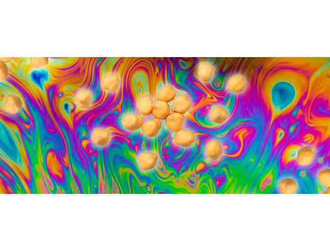 Skirball Cultural Center - Member-For-A-Day Pass (2 Adults + 4 Children Under 18)