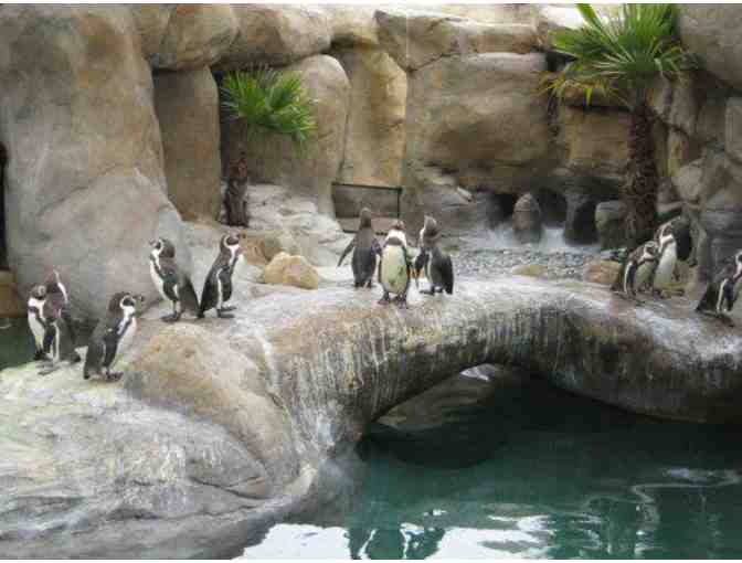 Santa Barbara Zoo - 2 Guest Passes for 1 Day