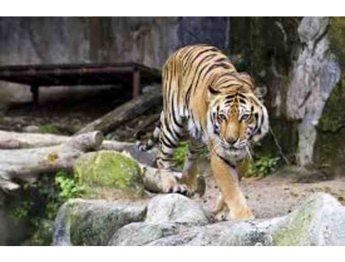 Santa Barbara Zoo - 2 Guest Passes for 1 Day