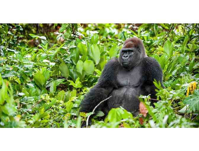 Santa Barbara Zoo - 2 Guest Passes for 1 Day