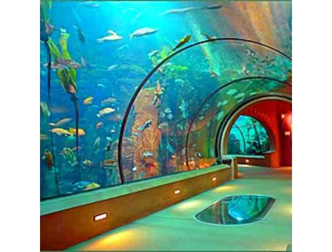 2 (Two) One-Day Aquarium of the Pacific Admission Passes