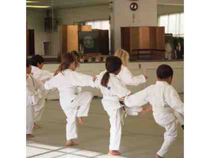 Pacific Martial Arts - 1 Month Unlimited Family Membership