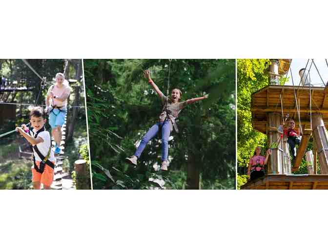 Go Ape! - (4) Treetop Journey Tickets