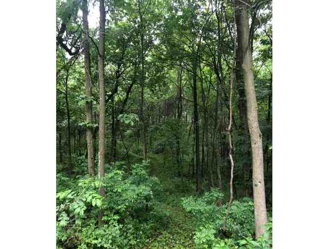 5 Night Stay at Wisconsin Farmhouse - Offer #1