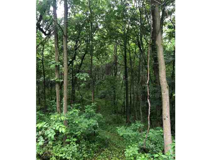 5 Night Stay at Wisconsin Farmhouse - Offer #2